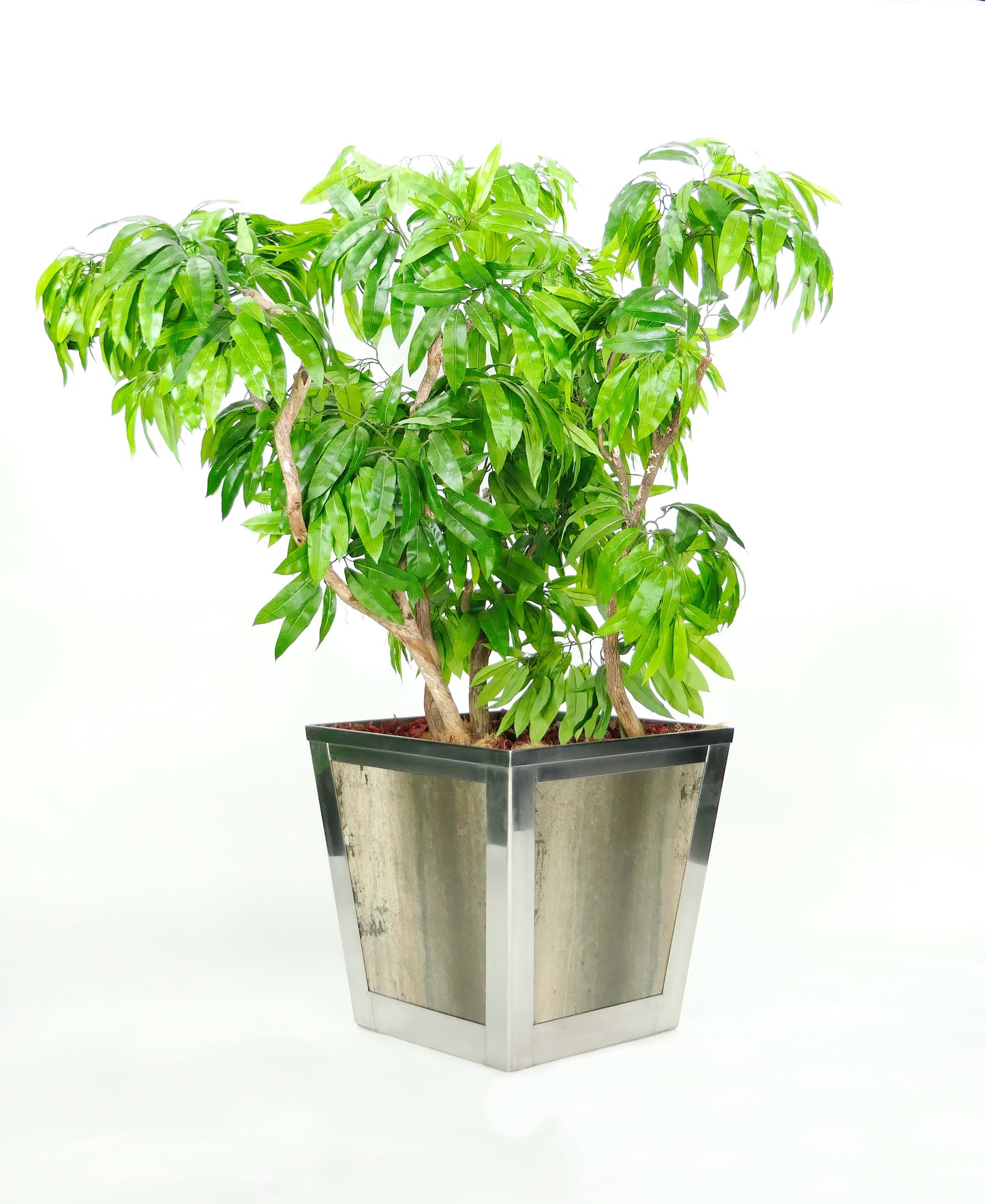 Imperial Marbleized Ivory